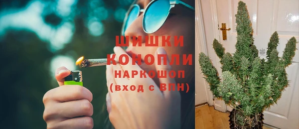 стаф Вяземский