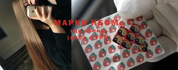 стаф Вяземский
