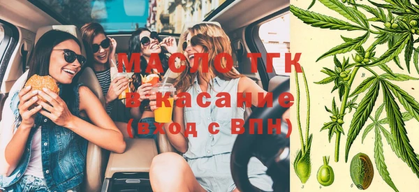стаф Вяземский