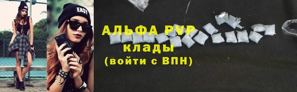 стаф Вяземский
