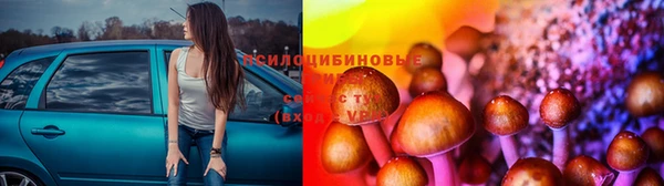 каннабис Болохово