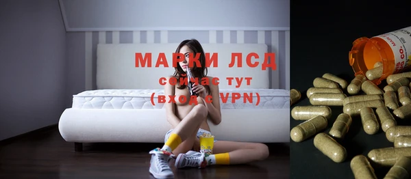 гидропоника Вязьма