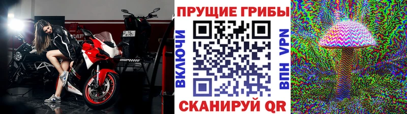 Псилоцибиновые грибы ЛСД  Гагарин 