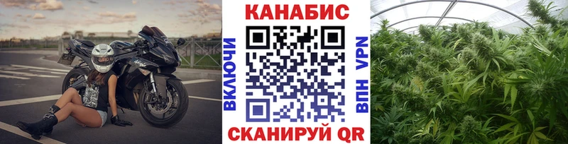 Шишки марихуана AK-47  Гагарин 